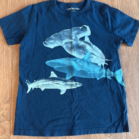 ((6 PIECE)) BOYS TEE BUNDLE CREWCUTS TEA MINI BODEN ETC SIZE 7/8 COTTON BLEND - Picture 8 of 13